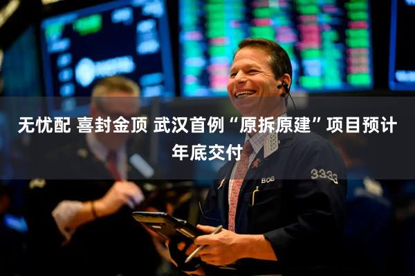 无忧配 喜封金顶 武汉首例“原拆原建”项目预计年底交付